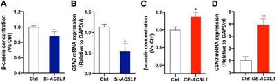 Novel Insight Into the Role of ACSL1 Gene in Milk Production Traits in Buffalo